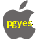Aplicativo pgyes para iOS