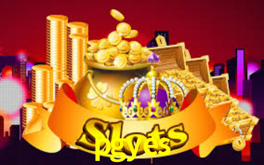 Segurança e privacidade no APP pgyes